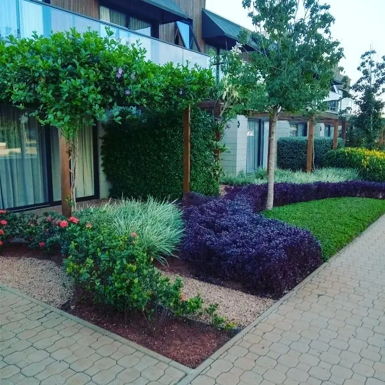 Paisagismo contemporâneo nítido com forrações coloridas, arborização e caminhos ajardinados