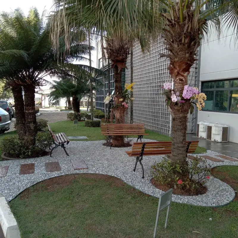 Vegetação ornamental acompanhada em jardim empresarial